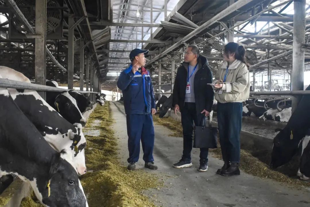 聚焦全會?學(xué)習(xí)貫徹丨南平：一以貫之推進(jìn)全面從嚴(yán)治黨 為奮力推進(jìn) 中國式現(xiàn)代化南平實(shí)踐清障護(hù)航